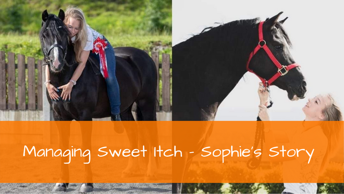 Managing Sweet Itch - Sophie's Story