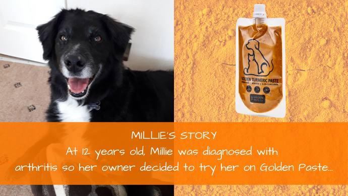 Millie's Story