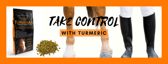 Take Control with Turmeric