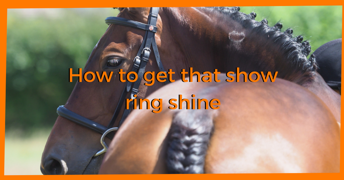 How to Get That Show Ring Shine