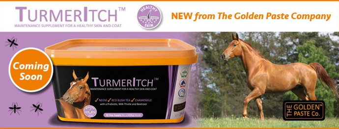 Claim Your Free TurmerItch™ Sample Pack Before 25th September!