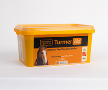 Load image into Gallery viewer, TurmerAid™ - Complete Turmeric Pellet - The Golden Paste Company