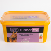 Load image into Gallery viewer, TurmerItch™ 1.5kg Skin & Coat Supplement - The Golden Paste Company