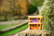 Load image into Gallery viewer, TurmerItch™ 1.5kg Skin & Coat Supplement - The Golden Paste Company