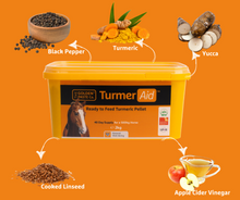 Load image into Gallery viewer, TurmerAid™ - Complete Turmeric Pellet - The Golden Paste Company