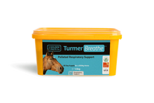 Load image into Gallery viewer, TurmerBreathe™ 1.5kg Respiratory Supplement - The Golden Paste Company