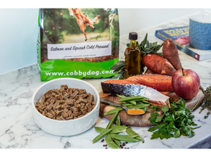 Salmon and Squash Cold Pressed Dog Food with added TurmerAid™ - The Golden Paste Company