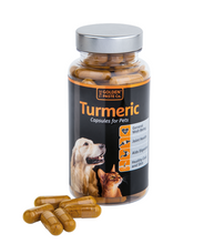 Load image into Gallery viewer, Turmeric Capsules for Pets - The Golden Paste Company
