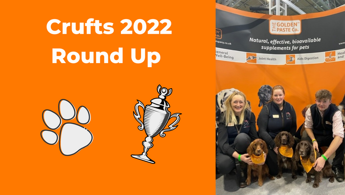 Crufts: Definitely the Greatest Dog Event in the World!