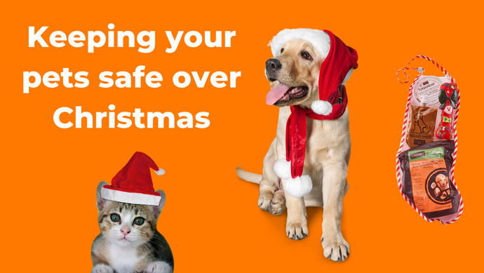 Keeping Your Pets Safe Over Christmas