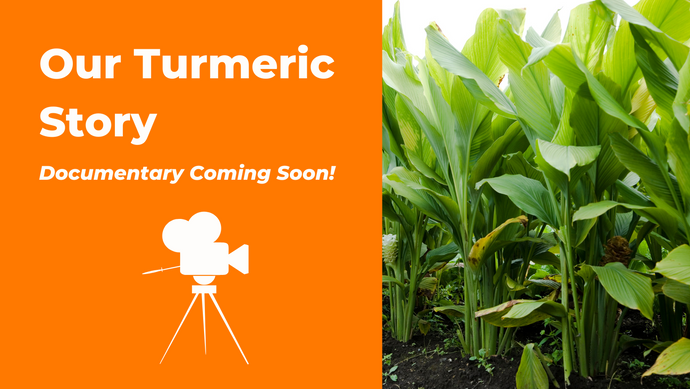 Our Turmeric Story – Documentary Coming Soon!