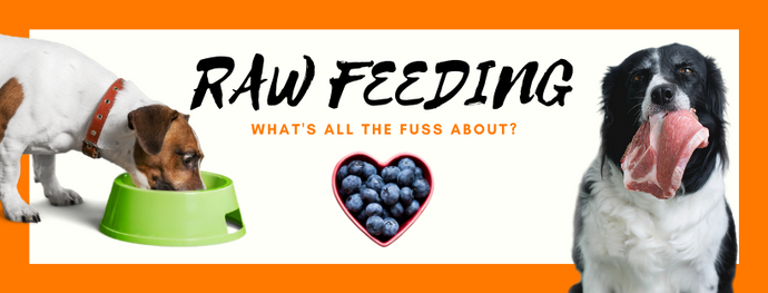 Raw Feeding - What's all the fuss about?