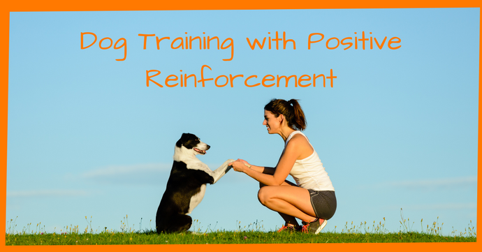 Dog Training with Positive Reinforcement