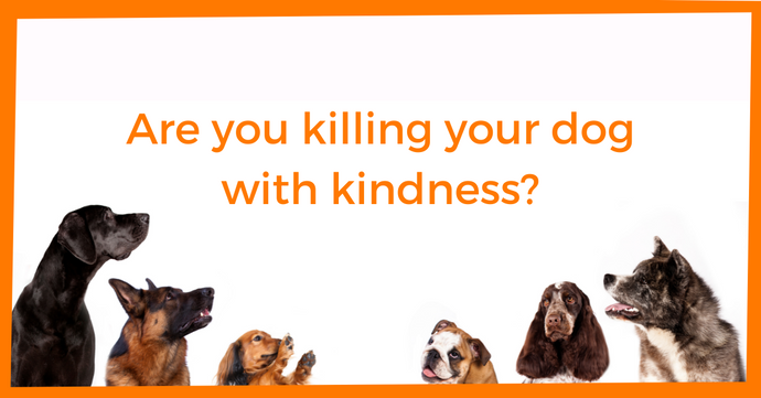 Are you killing your dog with kindness?