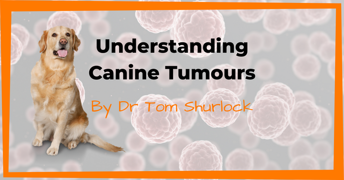 Understanding Canine Tumours By Dr Tom Shurlock