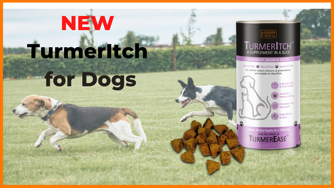 NEW TurmerItch™ for Dogs