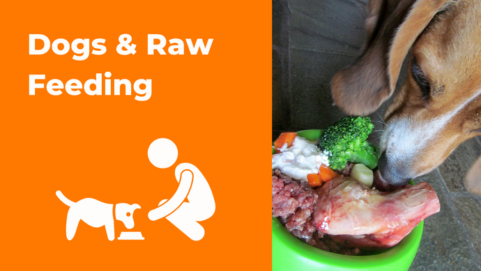 Dogs & Raw Feeding