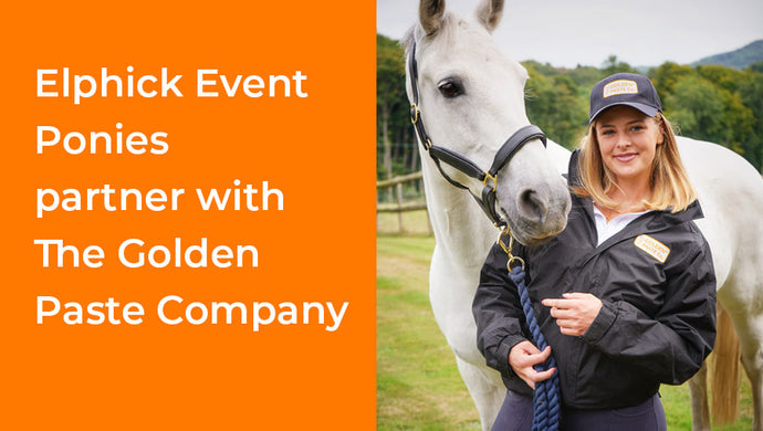 Elphick Event Ponies Partner with The Golden Paste Company