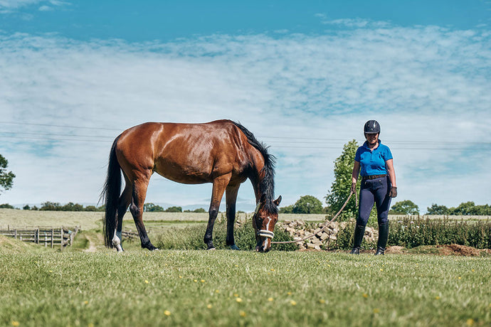 Why Choose The Golden Paste Company for your horse?