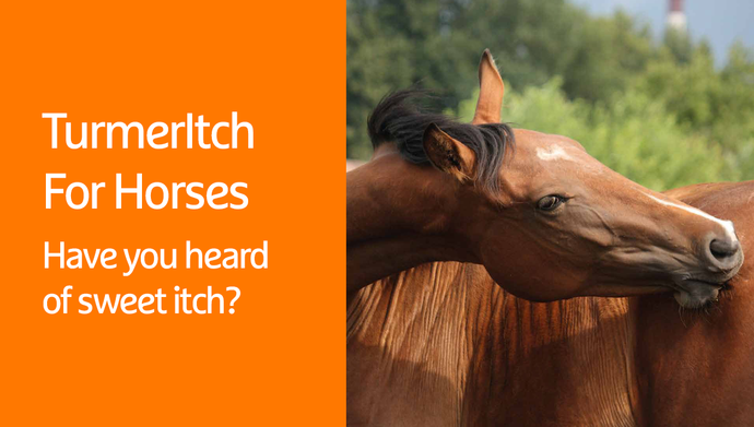 TurmerItch For Horses - Sweet Itch