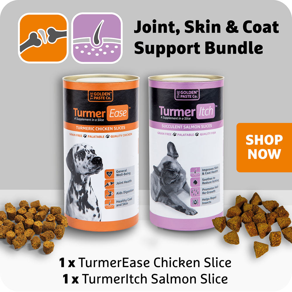 TurmerEase Chicken Slices & TurmerItch Salmon Slices Bundle - The Golden Paste Company