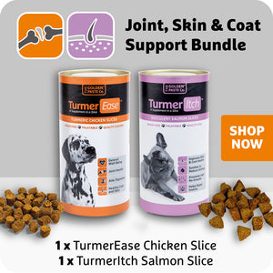 TurmerEase Chicken Slices & TurmerItch Salmon Slices Bundle