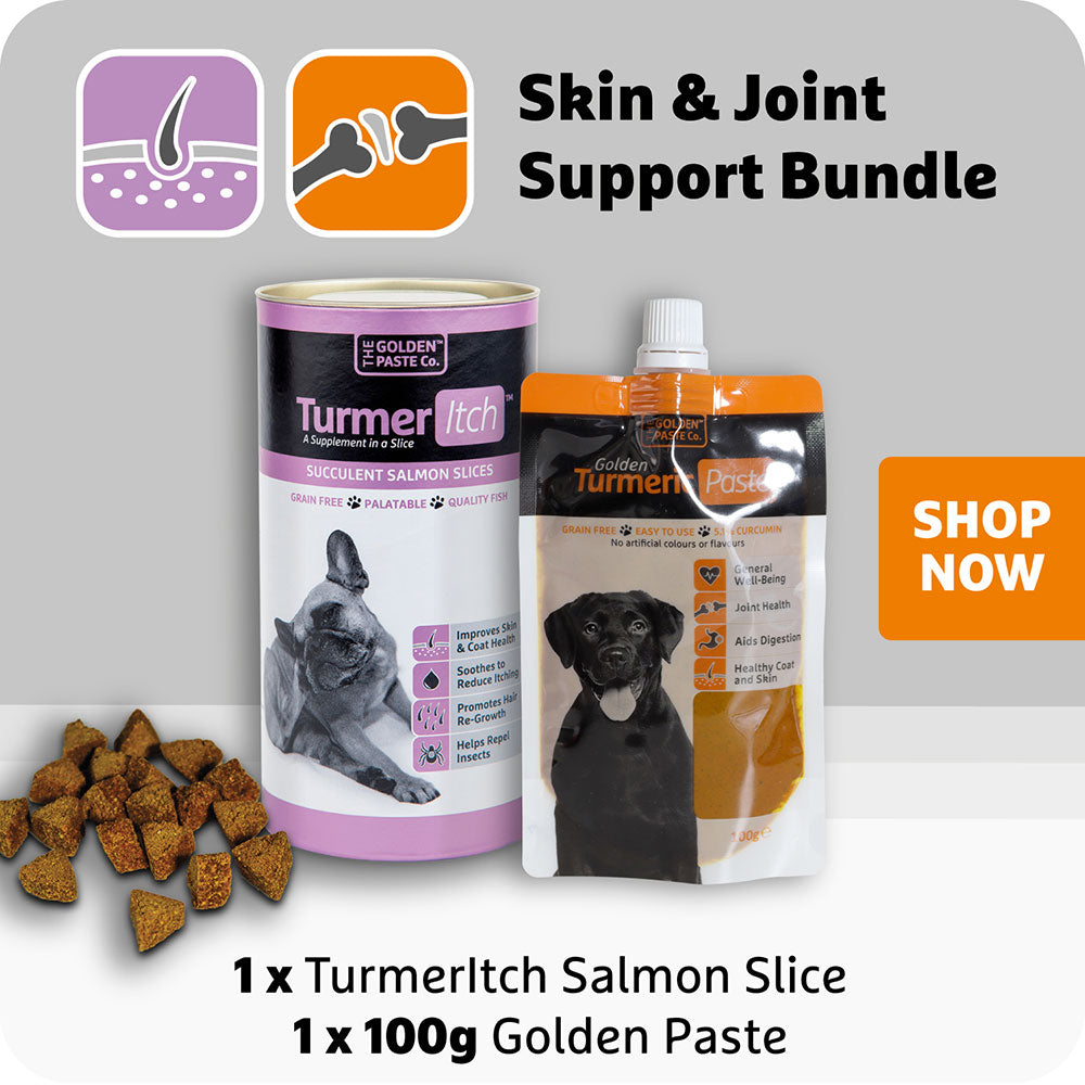 TurmerItch Salmon Slices and Golden Paste Bundle