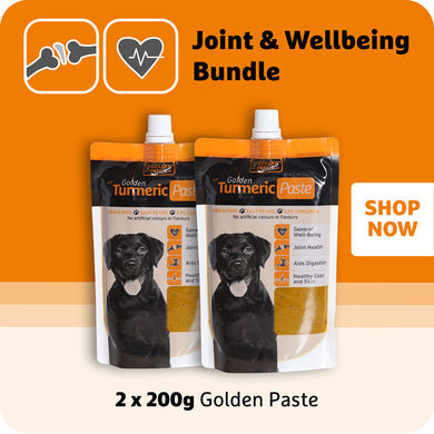 Golden Paste 200g Bundle (x2) - The Golden Paste Company