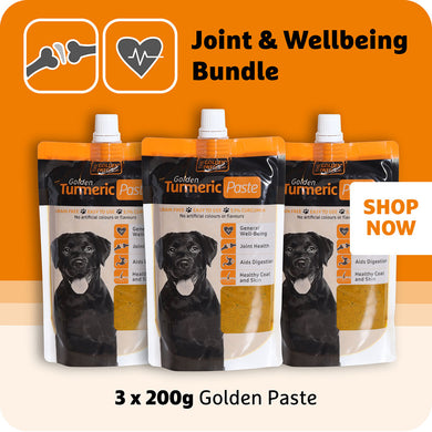 Golden Paste 200g Bundle (x3) - The Golden Paste Company