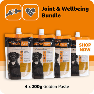 Golden Paste 200g Bundle (x4) - The Golden Paste Company