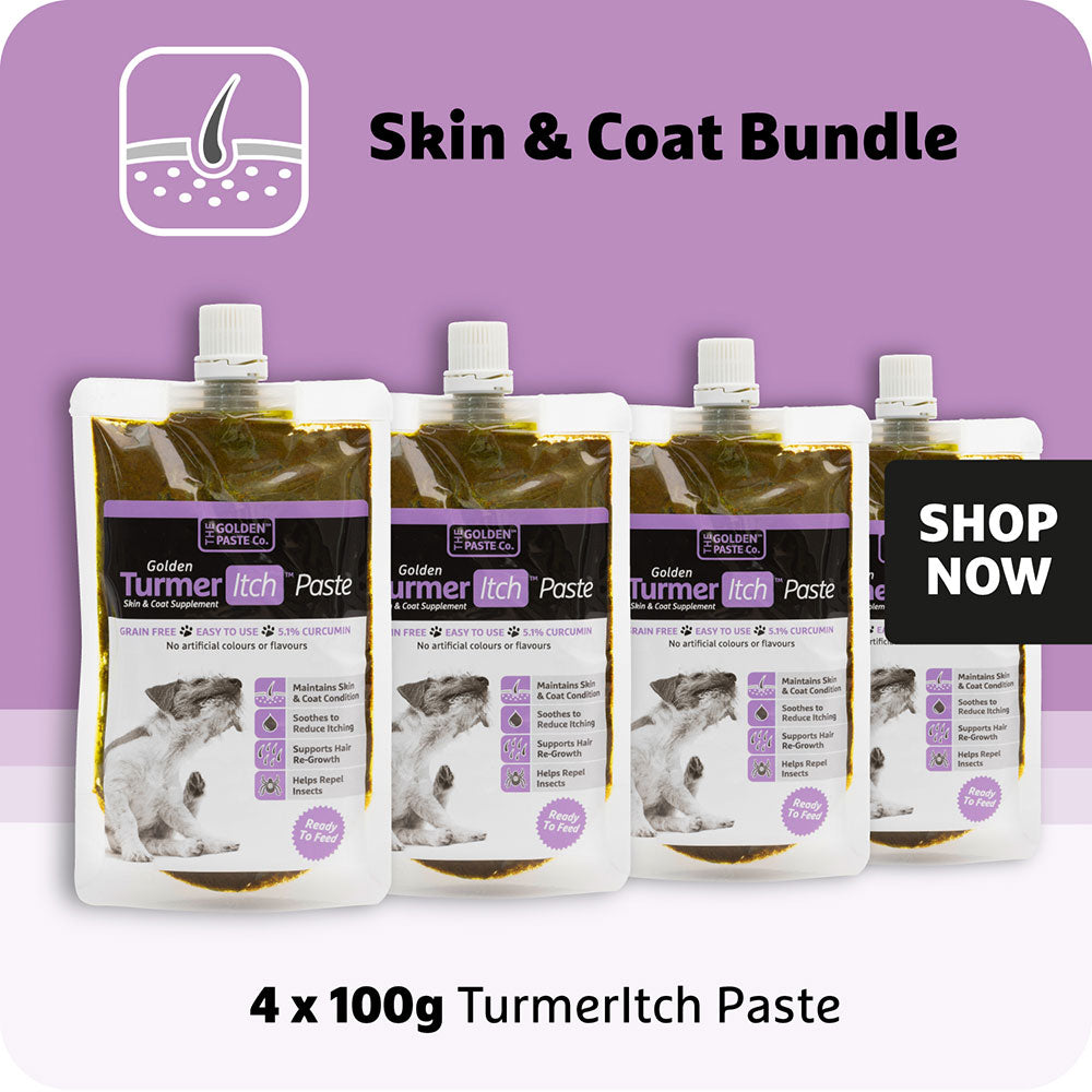 Skin and Coat Bundle - TurmerItch Paste (4x) - The Golden Paste Company