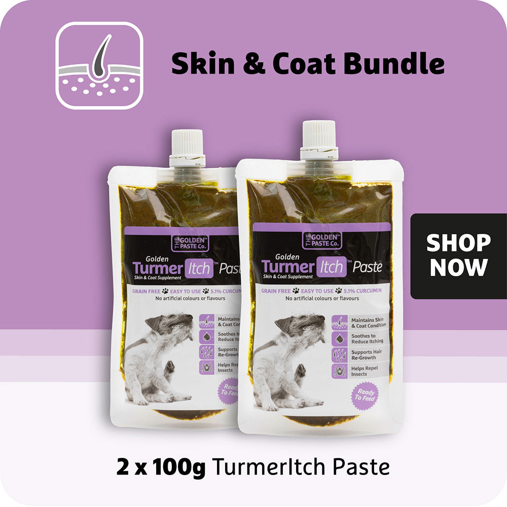 Joint & Skin Support Bundle (x2) - The Golden Paste Company