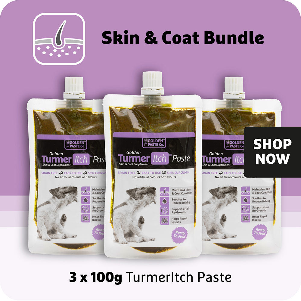 Skin and Coat Bundle - TurmerItch Paste (3x) - The Golden Paste Company