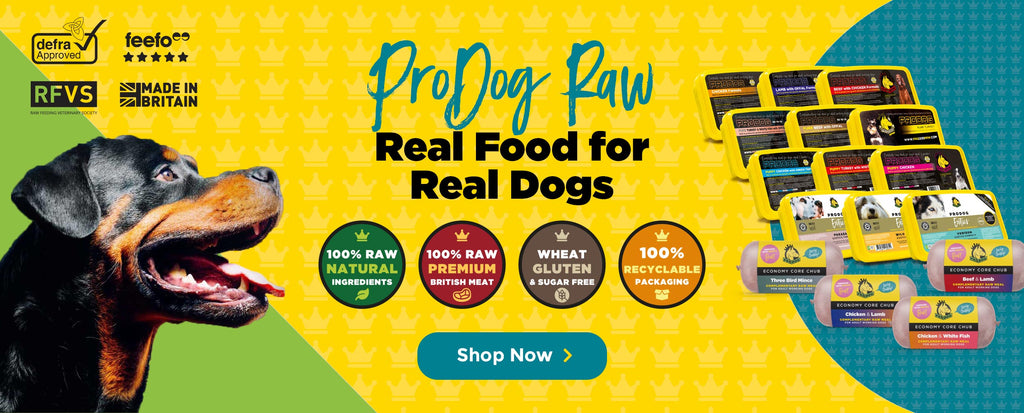 Pro dog outlet raw