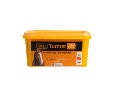 TurmerAid™ - Complete Turmeric Pellet - The Golden Paste Company