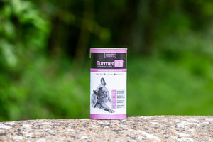 TurmerItch™ for Dogs Skin Supplement - The Golden Paste Company