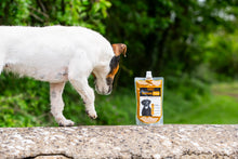 Load image into Gallery viewer, Turmeric Golden Paste for Dogs - The Golden Paste Company
