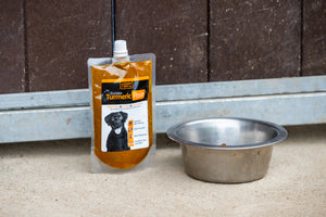 Turmeric Golden Paste for Dogs - The Golden Paste Company