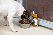 Load image into Gallery viewer, Turmeric Golden Paste for Dogs - The Golden Paste Company
