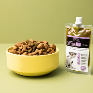 TurmerItch Paste for Dogs & Cats - The Golden Paste Company