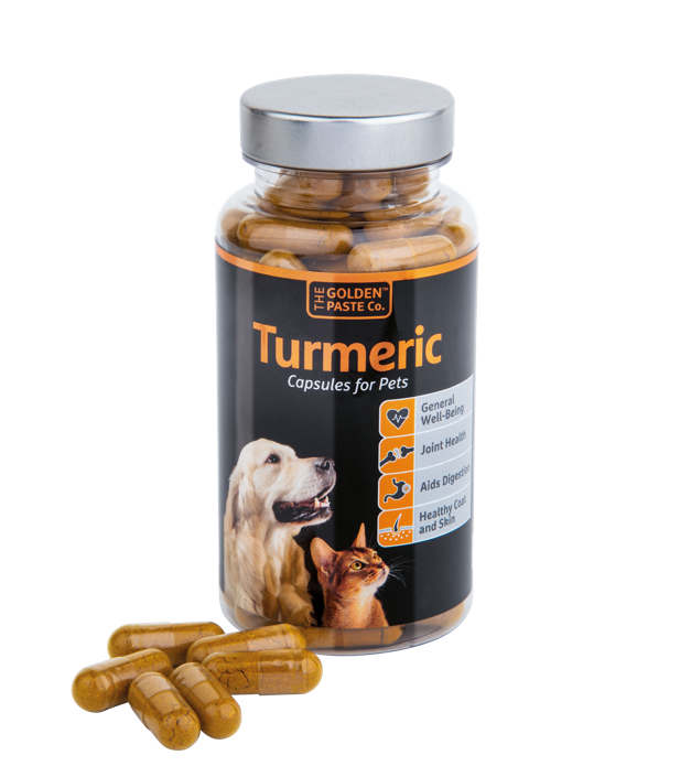 Turmeric Capsules for Pets - The Golden Paste Company