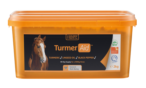 TurmerAid™ - Complete Turmeric Pellet - The Golden Paste Company