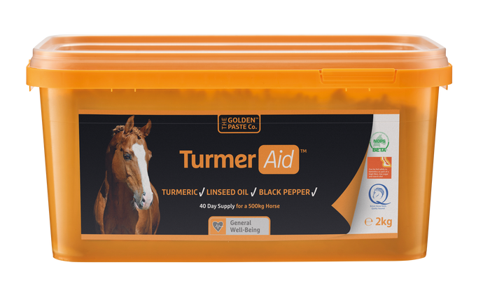 TurmerAid™ - Complete Turmeric Pellet - The Golden Paste Company